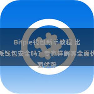 Bitpie钱包新手教程 比特派钱包安全吗？专家详解其全面优势