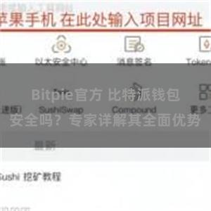 Bitpie官方 比特派钱包安全吗？专家详解其全面优势