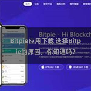 Bitpie应用下载 选择Bitpie的原因，你知道吗？