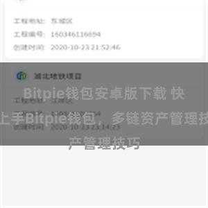 Bitpie钱包安卓版下载 快速上手Bitpie钱包，多链资产管理技巧