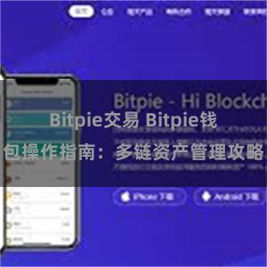 Bitpie交易 Bitpie钱包操作指南：多链资产管理攻略