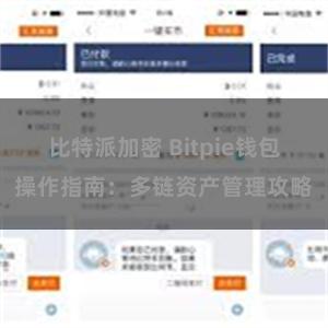 比特派加密 Bitpie钱包操作指南：多链资产管理攻略