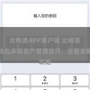 比特派APP客户端 比特派钱包多链资产管理技巧：全面攻略