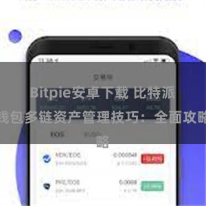 Bitpie安卓下载 比特派钱包多链资产管理技巧：全面攻略