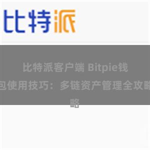 比特派客户端 Bitpie钱包使用技巧：多链资产管理全攻略