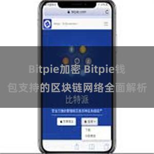 Bitpie加密 Bitpie钱包支持的区块链网络全面解析