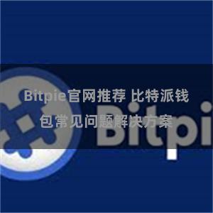 Bitpie官网推荐 比特派钱包常见问题解决方案