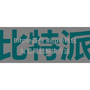 Bitpie备份 Bitpie钱包常见问题解决方法