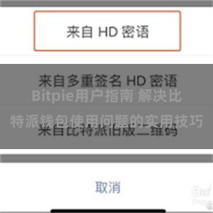 Bitpie用户指南 解决比特派钱包使用问题的实用技巧