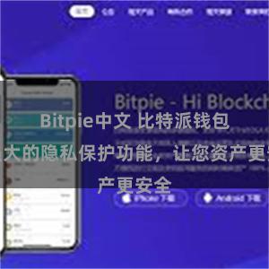 Bitpie中文 比特派钱包：强大的隐私保护功能，让您资产更安全