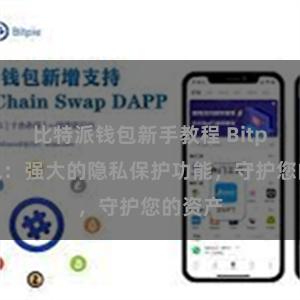 比特派钱包新手教程 Bitpie钱包：强大的隐私保护功能，守护您的资产