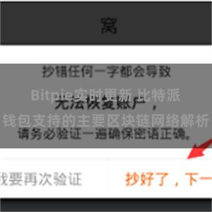 Bitpie实时更新 比特派钱包支持的主要区块链网络解析