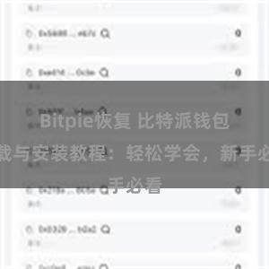 Bitpie恢复 比特派钱包下载与安装教程：轻松学会，新手必看