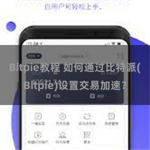 Bitpie教程 如何通过比特派(Bitpie)设置交易加速？