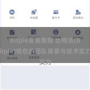 Bitpie安装教程 比特派(Bitpie)钱包的团队背景与技术实力