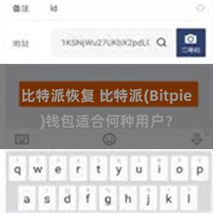 比特派恢复 比特派(Bitpie)钱包适合何种用户？