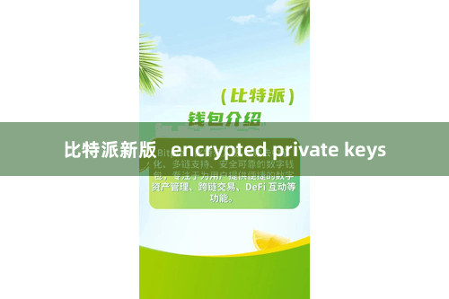 比特派新版   encrypted private keys