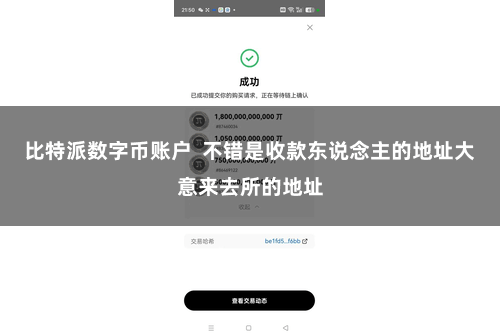 比特派数字币账户  不错是收款东说念主的地址大意来去所的地址