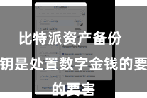 比特派资产备份  私钥是处置数字金钱的要害