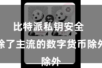 比特派私钥安全  除了主流的数字货币除外